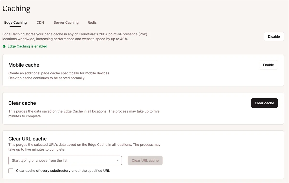 Kinsta screenshot 5